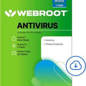 antivirus software
